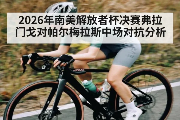 2026年南美解放者杯决赛弗拉门戈对帕尔梅拉斯中场对抗分析